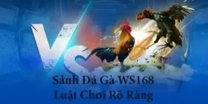 Bật Mí Cách Chơi Đá Gà WS168 Tại V7Bet Luôn Thắng Từ Các Cao Thủ