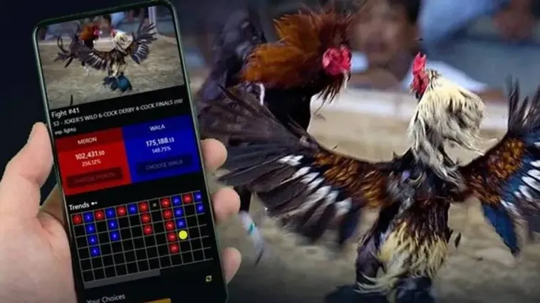 Bí Quyết Chơi Đá Gà V7Bet Từ Cao Thủ Giúp Bạn Thắng Lớn Mỗi Ngày