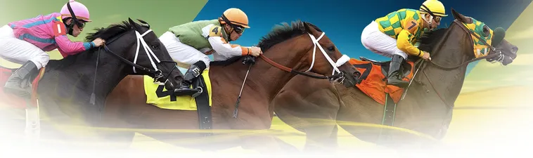 Trải Nghiệm Kịch Tính Khi Tìm Hiểu Cá Cược Đua Ngựa V7Bet Đẳng Cấp Quốc Tế